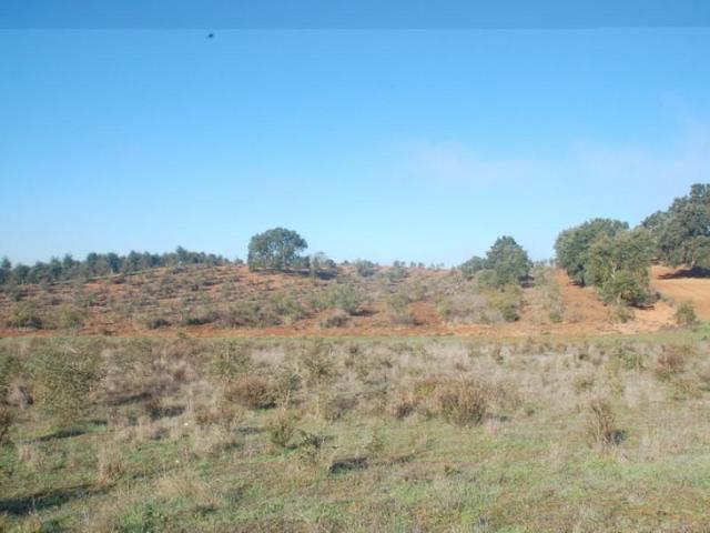 Terreno venda em Cercal, Santiago Do Cacém