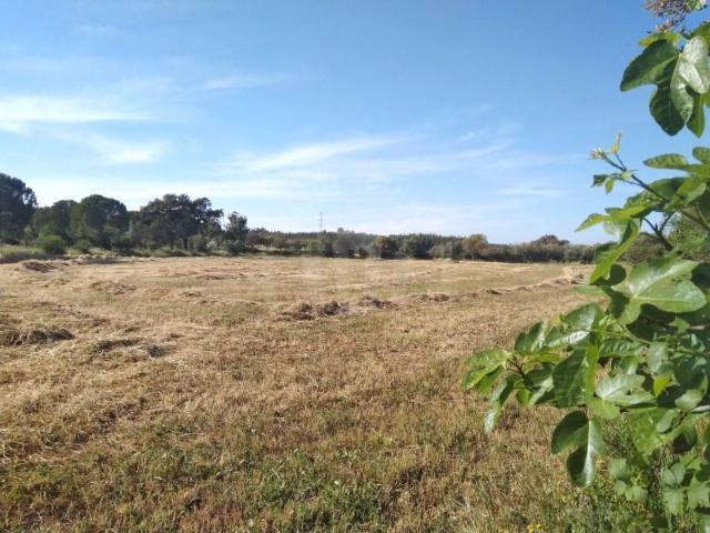 Terreno venda em Vale de Água, Santiago Do Cacém