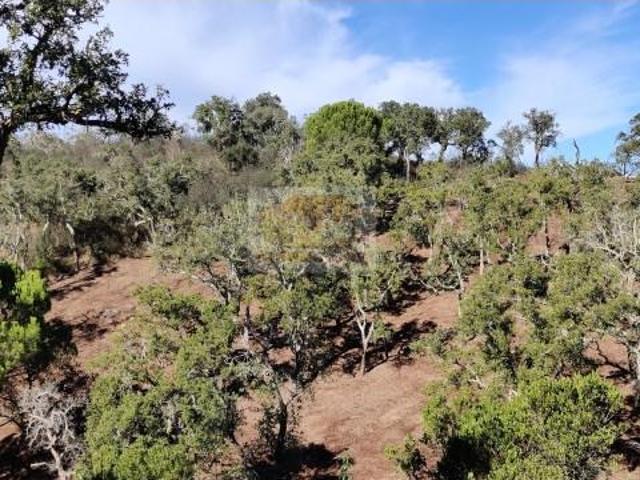Terreno venda em Santiago Do Cacém, Setúbal