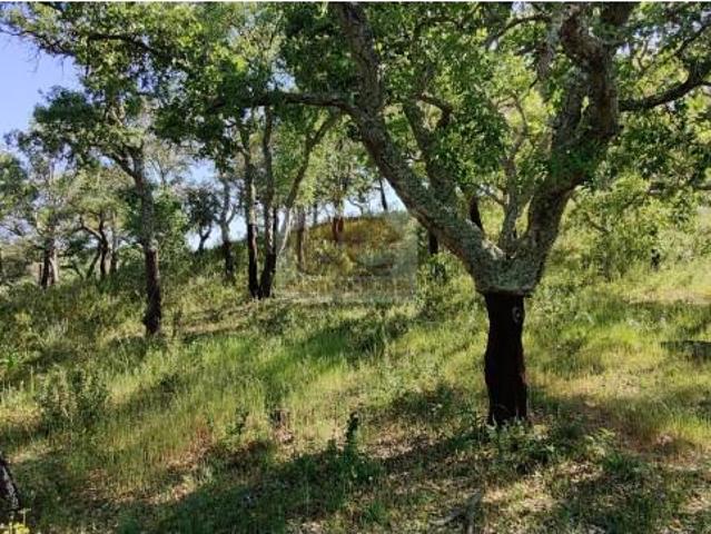 Terreno venda em Santiago Do Cacém, Setúbal