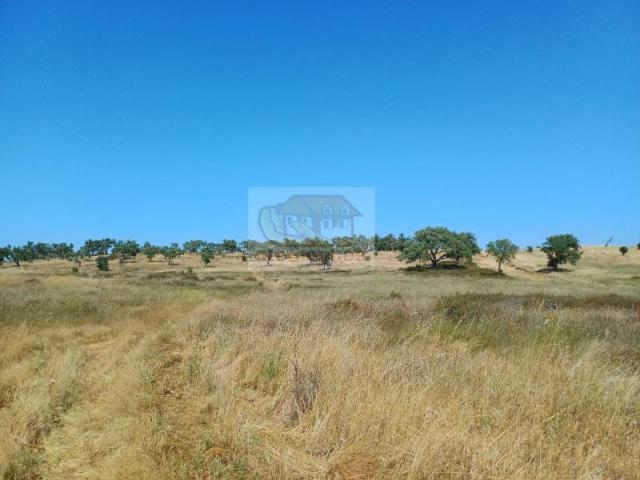 Terreno venda em Santiago Do Cacém, Setúbal