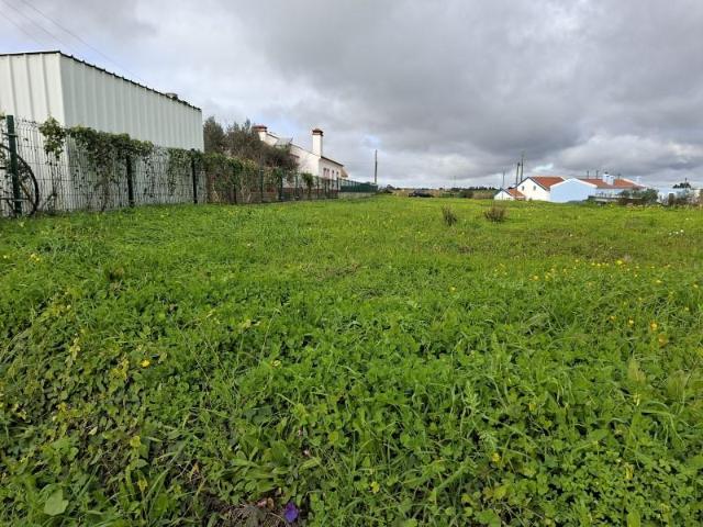 Terreno venda em Santiago Do Cacém, Setúbal
