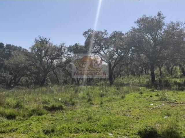 Terreno venda em Santiago Do Cacém, Setúbal