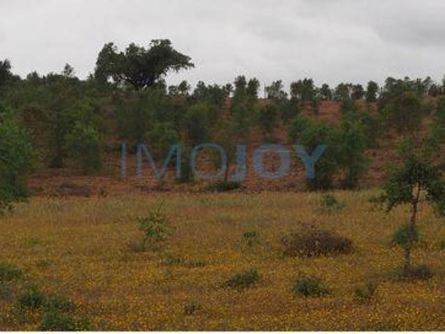 Terreno venda em Cercal, Santiago Do Cacém