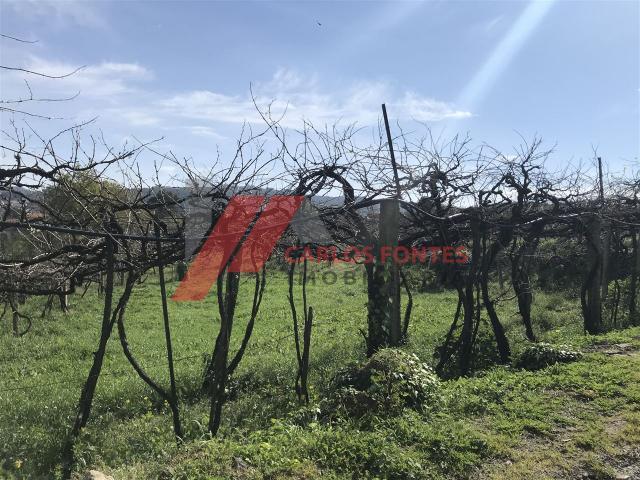 Terreno venda em Santo Tirso, Porto