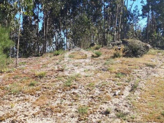 Terreno venda em Santo Tirso, Porto