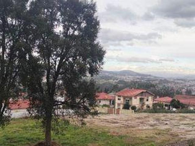 Terreno venda em Santo Tirso, Porto