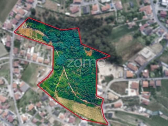 Terreno venda em Santo Tirso, Porto