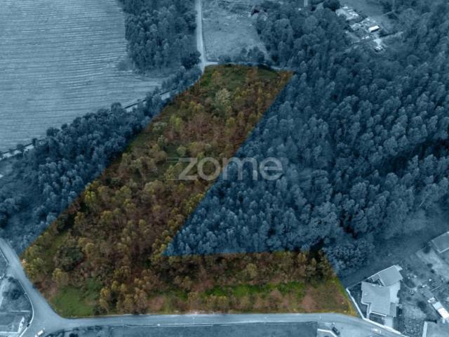 Terreno venda em Santo Tirso, Porto