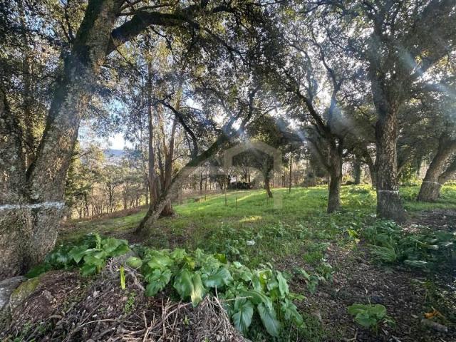 Terreno venda em Santo Tirso, Porto