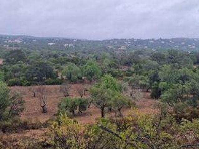 Terreno venda em São Brás De Alportel, Faro