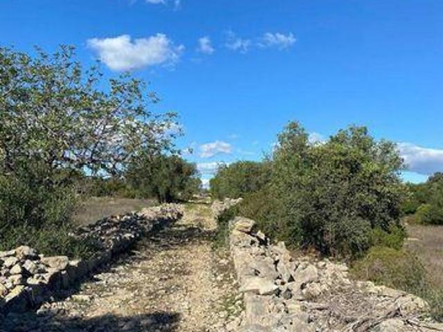 Terreno venda em São Brás De Alportel, Faro