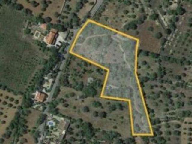 Terreno venda em São Brás De Alportel, Faro