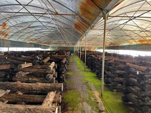 Terreno alugar em Sardoal, Santarém