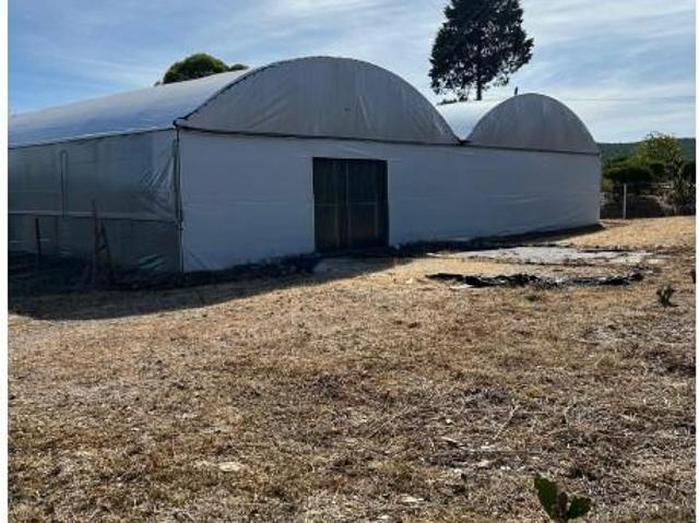Terreno alugar em Sardoal, Santarém