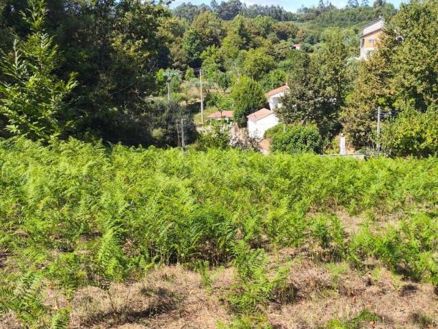 Terreno venda em Sátão, Viseu