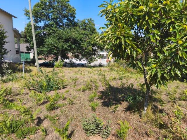 Terreno venda em Sátão, Viseu