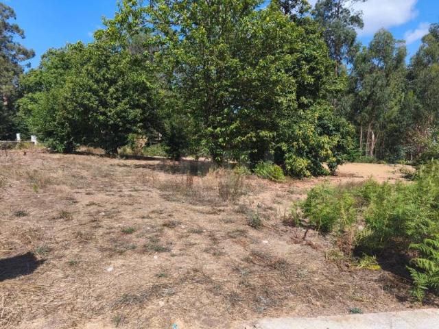 Terreno venda em Sátão, Viseu