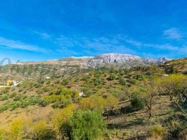 Terreno en venta en Sedella Terreno en venta en Sedella