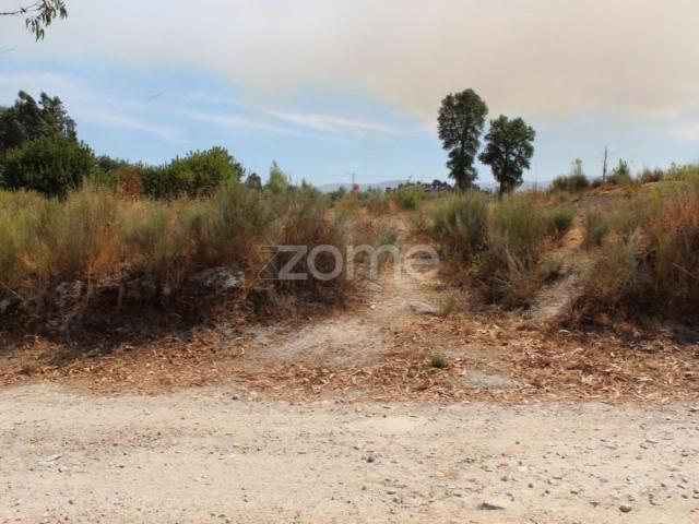 Terreno venda em Guarda, Seia