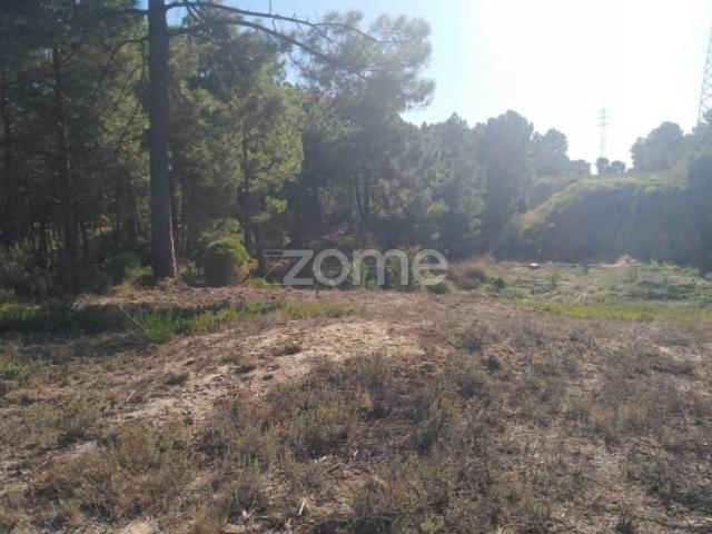 Terreno venda em Seixal, Setúbal