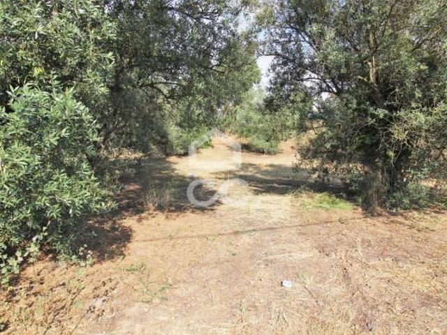 Terreno alugar em Seixal, Setúbal