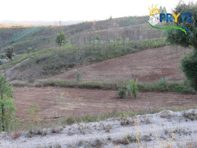 Terreno venda em Castelo Branco, Cumeada