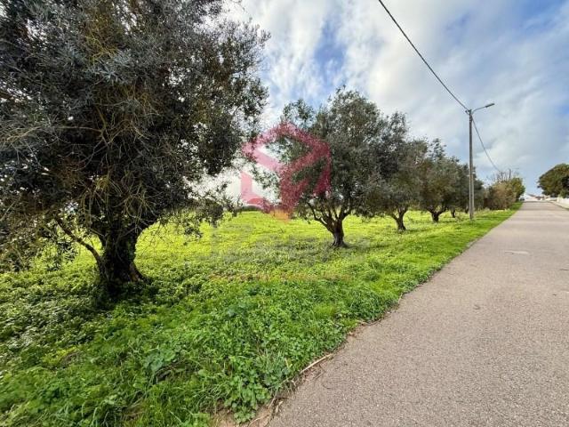 Terreno venda em Sesimbra (Castelo), Sesimbra