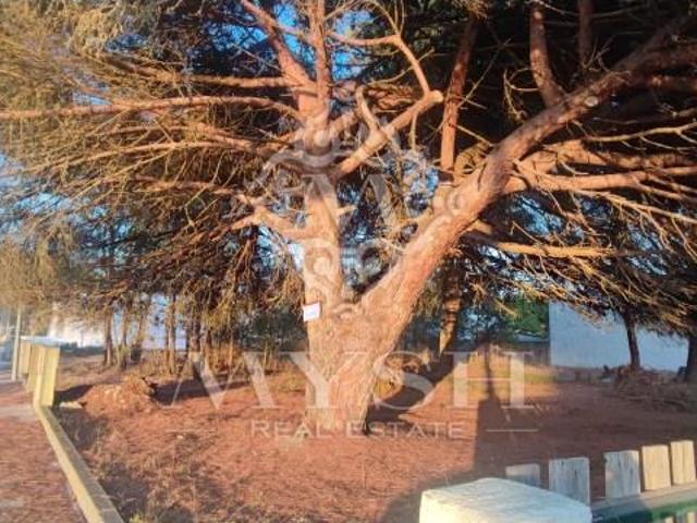 Terreno alugar em Sesimbra, Setúbal