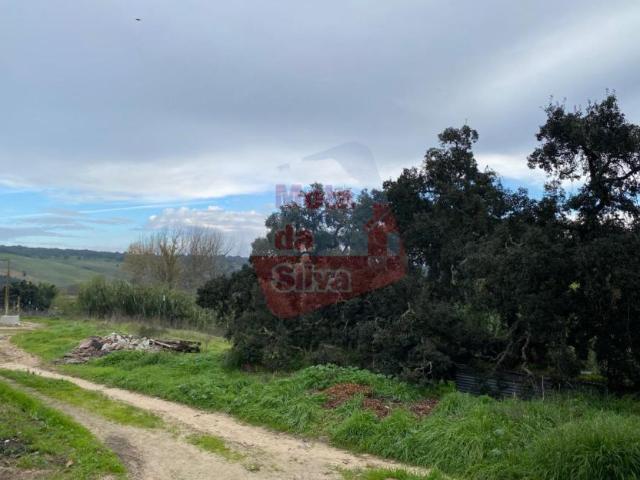 Terreno venda em Alcácer Do Sal, Setúbal