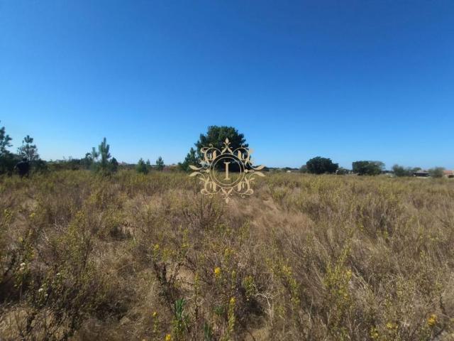 Terreno venda em Lagoa do Calvo, Palmela