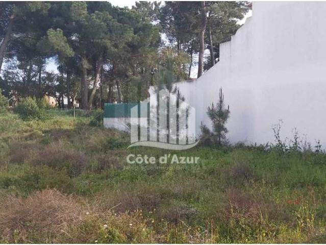 Terreno venda em Azeitão (São Lourenço e São Simão), Setúbal