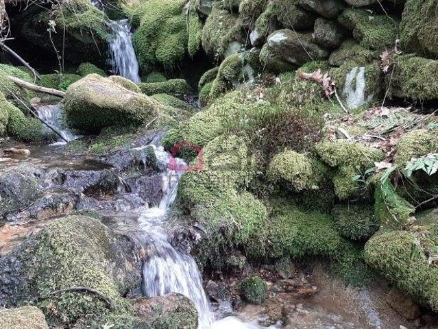 Terreno venda em Sever Do Vouga, Aveiro