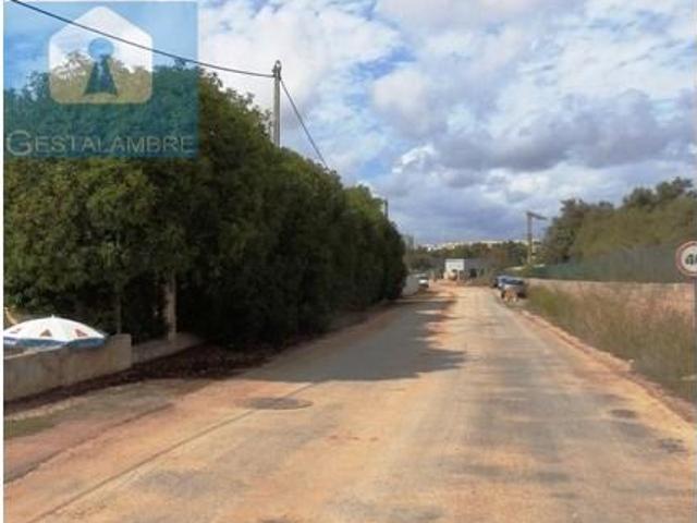 Terreno venda em Pêra