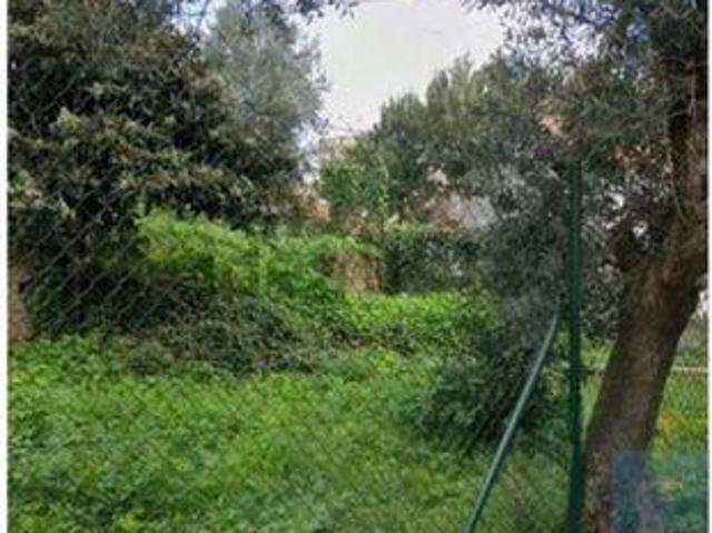 Terreno venda em Sintra, Lisboa