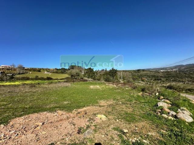 Terreno venda em Sintra, Lisboa
