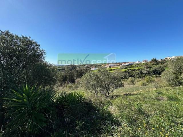 Terreno venda em Sintra, Lisboa