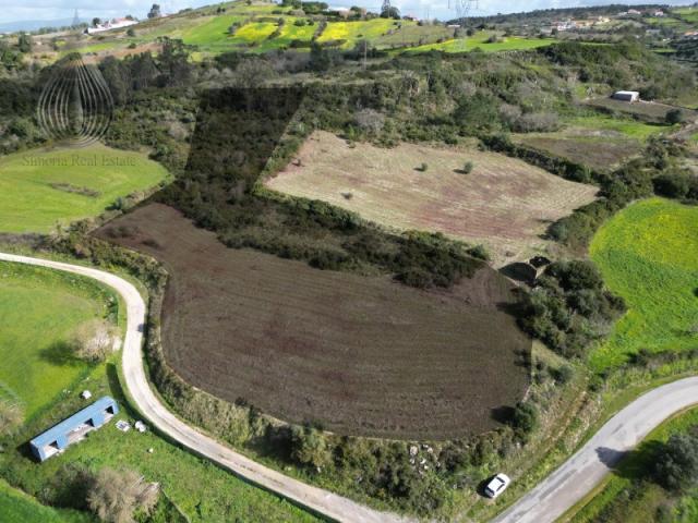 Terreno venda em Sobral, Lisboa