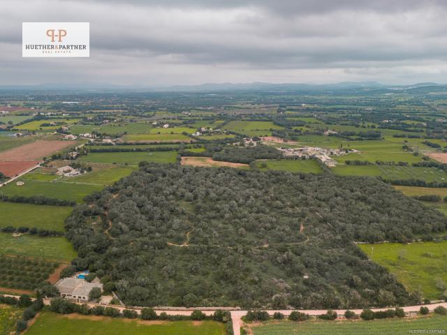 Terreno en venta en Son Mesquida, Migjorn