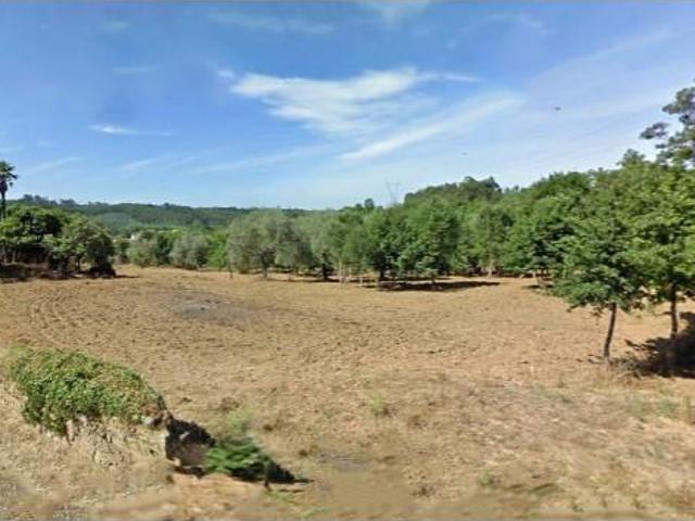 Terreno venda em Tábua, Coimbra