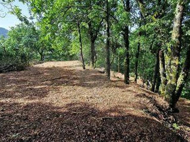 Terreno venda em Guardenha, Covas