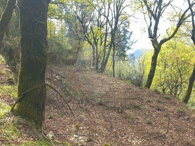 Terreno venda em Guardenha, Covas