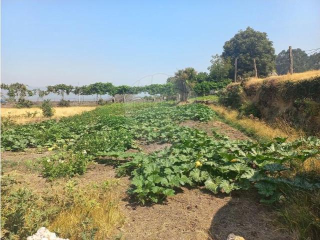 Terreno venda em Covas, Braga