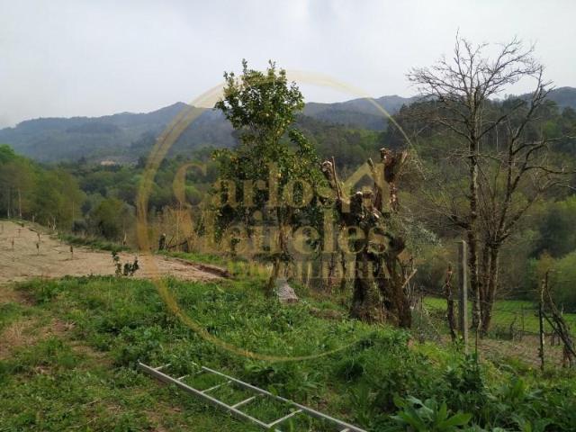 Terreno venda em Covas, Braga