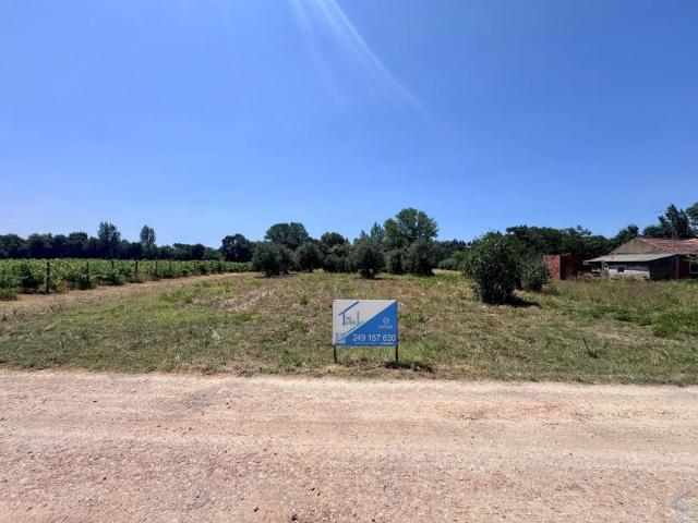 Terreno venda em Tomar, Santarém