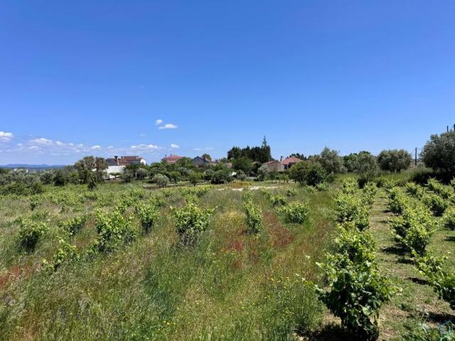 Terreno venda em Tomar