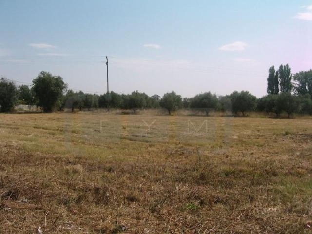 Terreno venda em Tomar