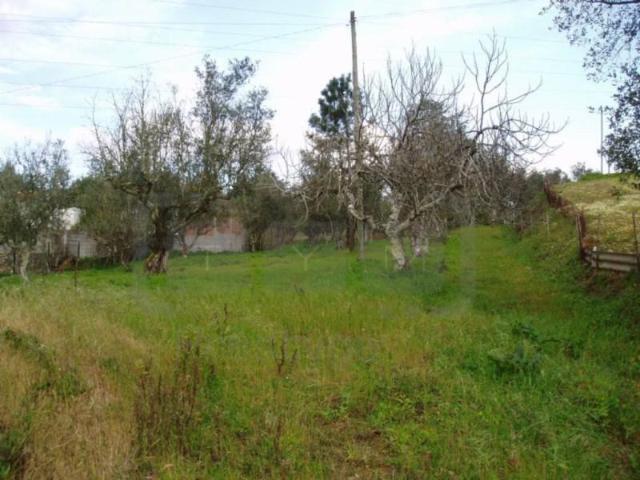 Terreno venda em Vermoeiros, Tomar