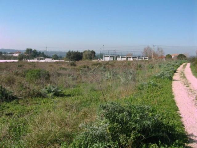 Terreno venda em Madalena e Beselga, Tomar
