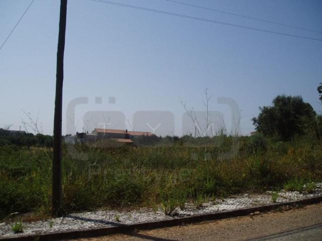 Terreno venda em Tomar, Santarém